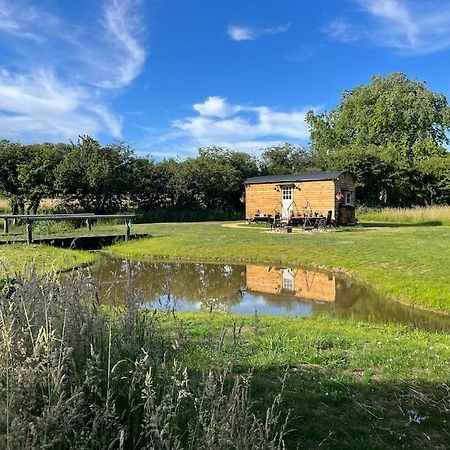 Mountbatten Shepherds Hut & Buckhurst Shepherds Hut Ashford  Exteriör bild