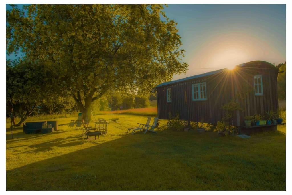 Mountbatten Shepherds Hut & Buckhurst Shepherds Hut Ashford  Exteriör bild