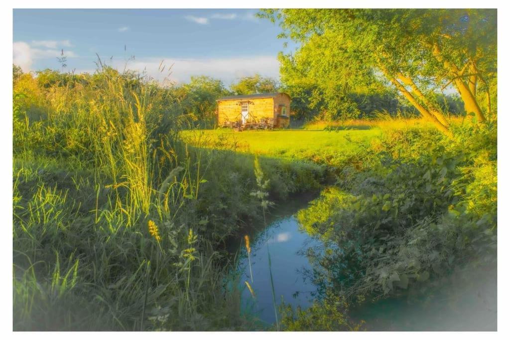 Mountbatten Shepherds Hut & Buckhurst Shepherds Hut Ashford  Exteriör bild