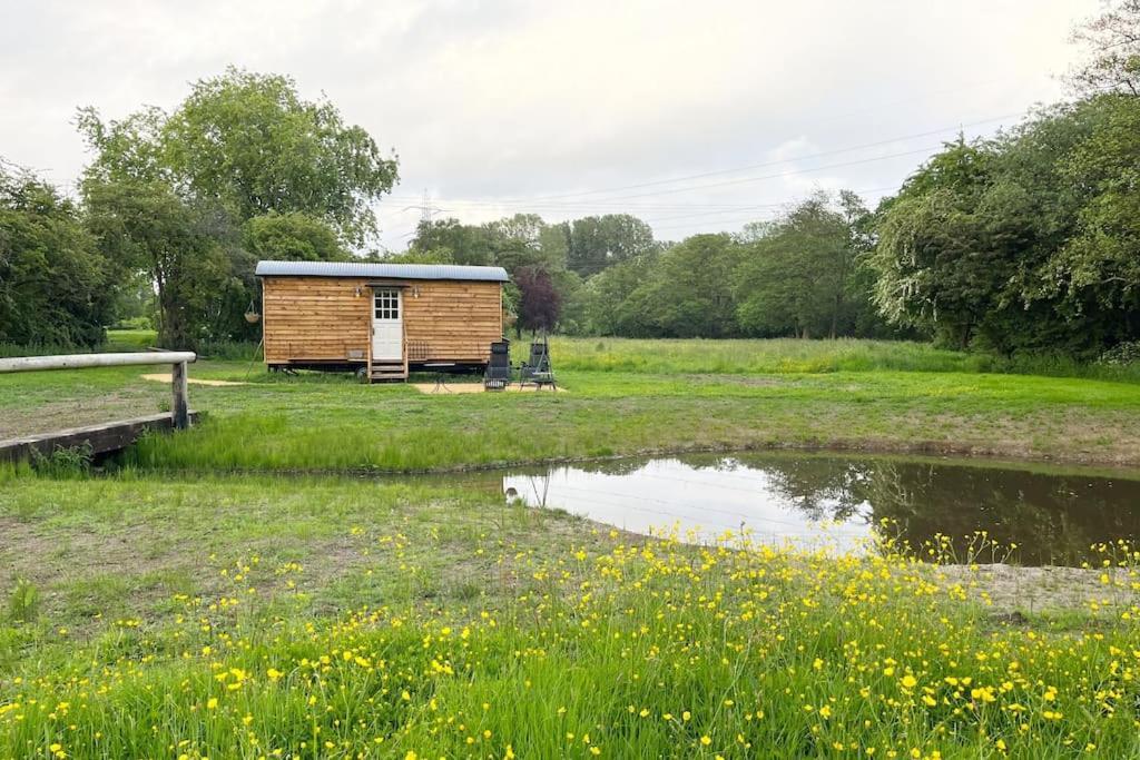 Mountbatten Shepherds Hut & Buckhurst Shepherds Hut Ashford  Exteriör bild