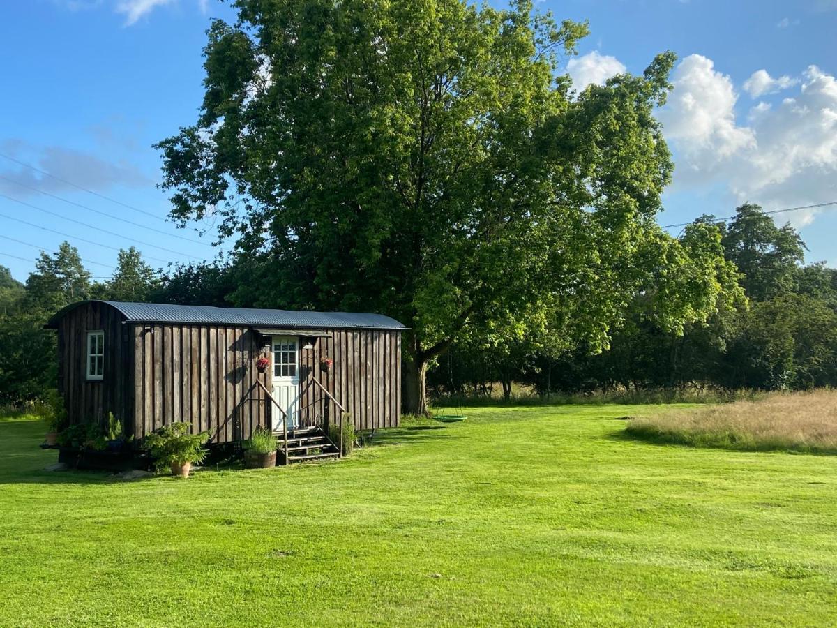 Mountbatten Shepherds Hut & Buckhurst Shepherds Hut Ashford  Exteriör bild