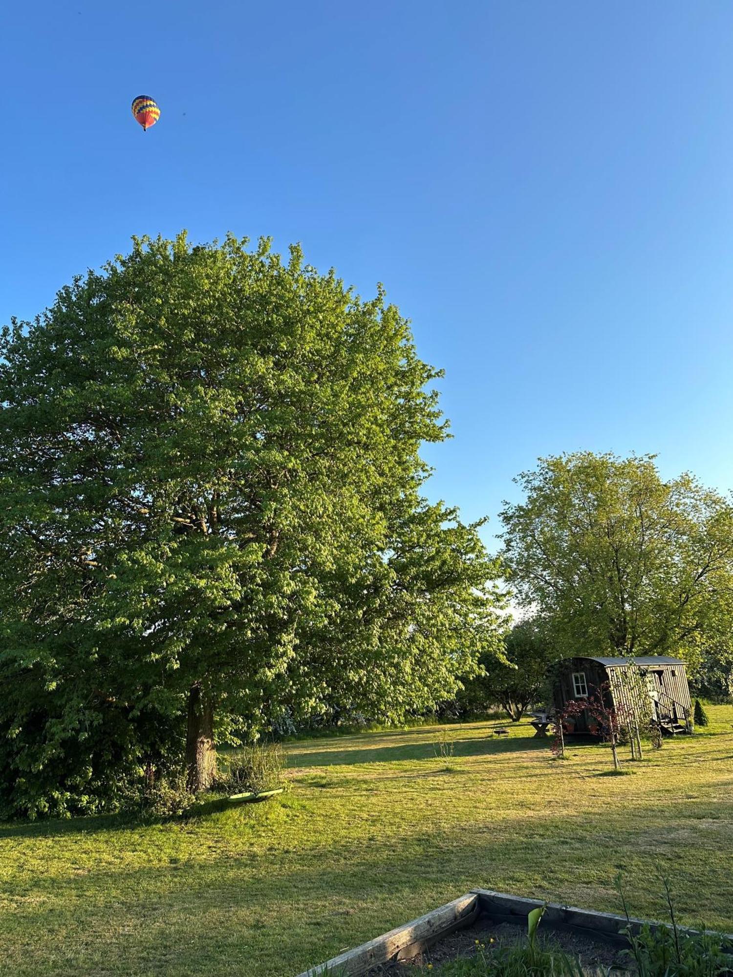 Mountbatten Shepherds Hut & Buckhurst Shepherds Hut Ashford  Exteriör bild