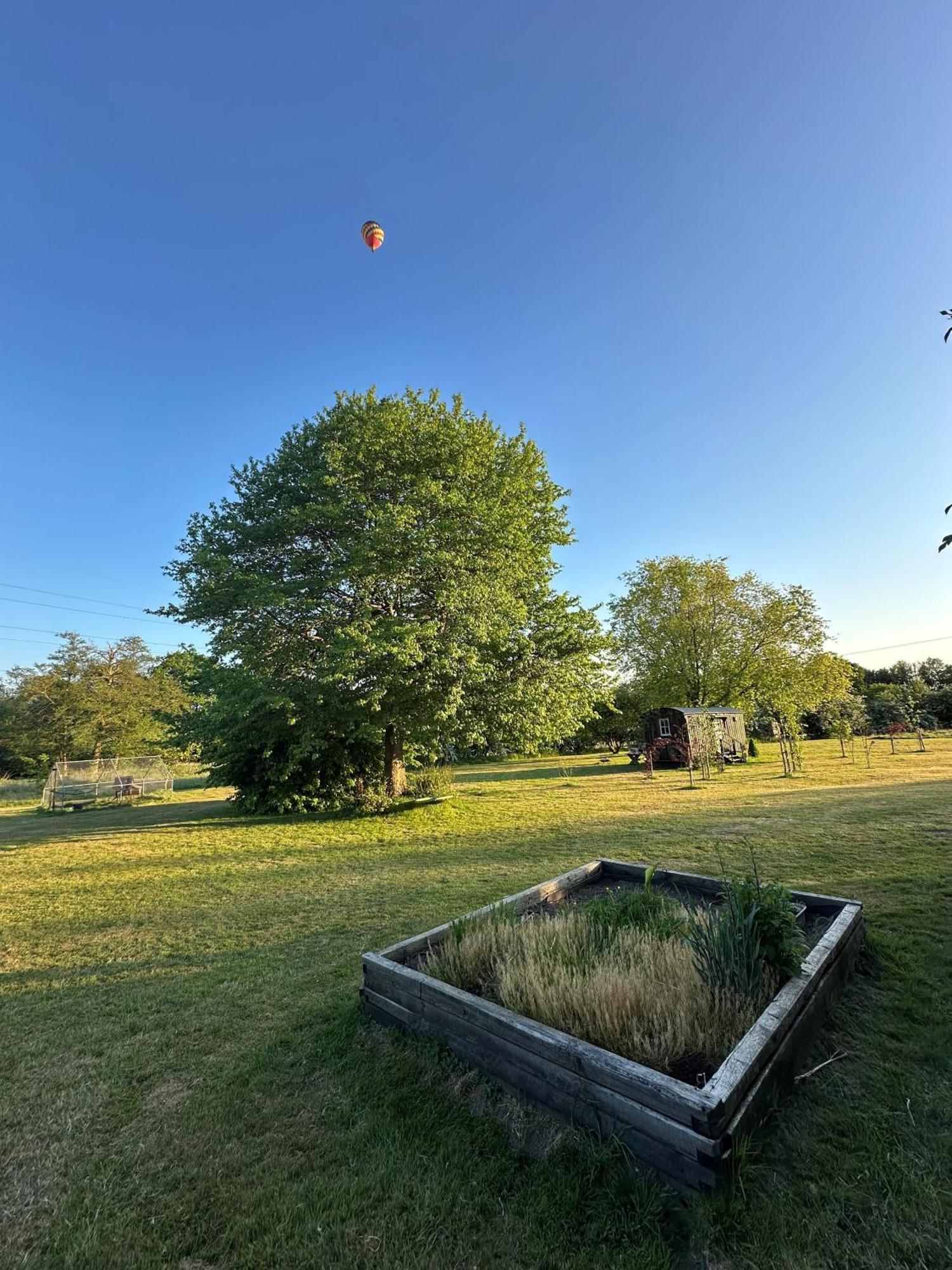 Mountbatten Shepherds Hut & Buckhurst Shepherds Hut Ashford  Exteriör bild